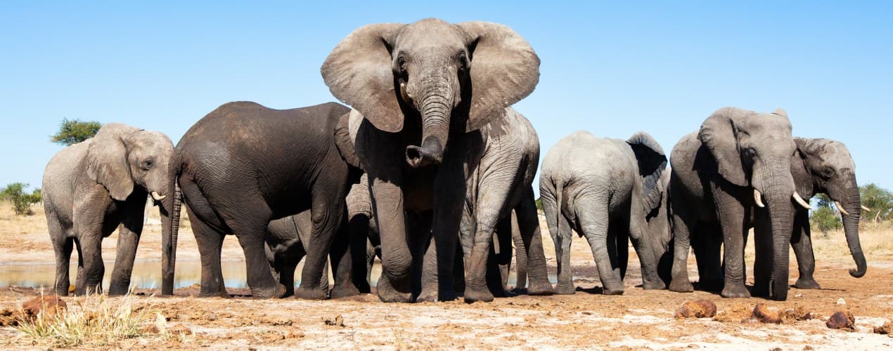 Botswana