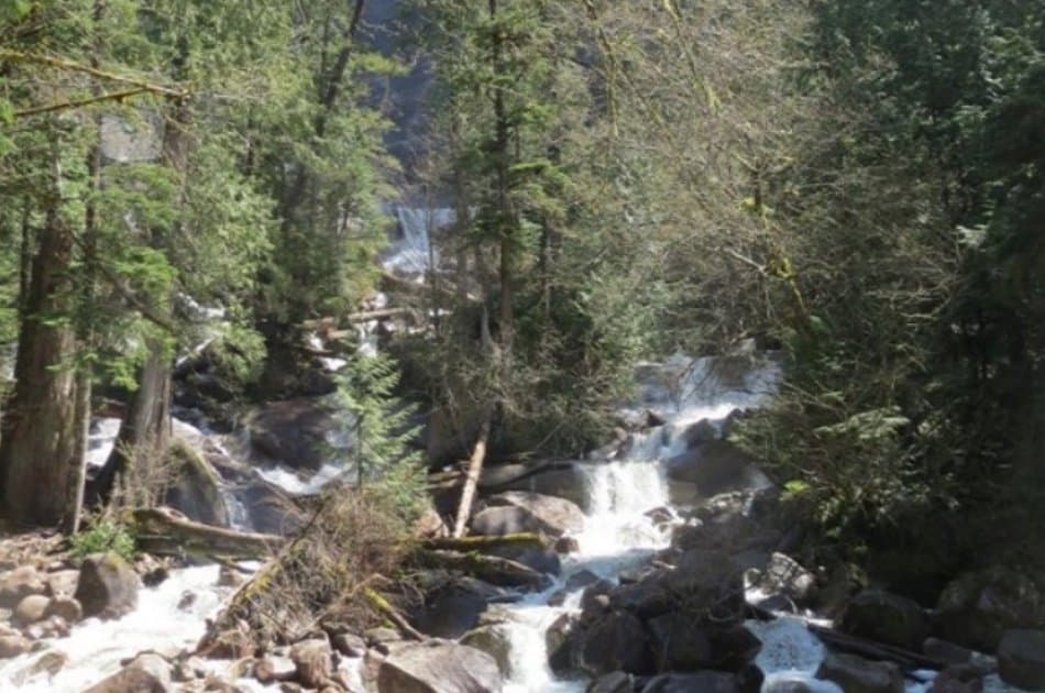 Great Squamish Day Trip from Vancouver - Photo 6