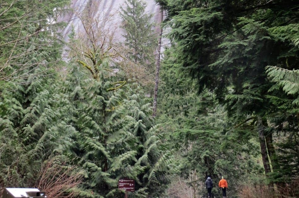 Great Squamish Day Trip from Vancouver - Photo 8