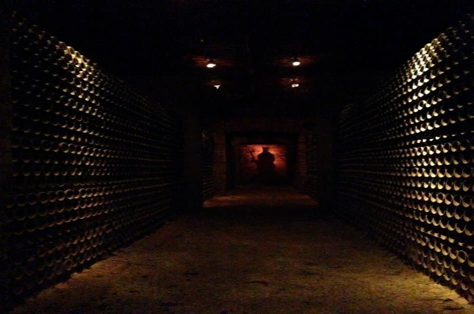 Concha Y Toro Winery - Living the Legend - Photo 5