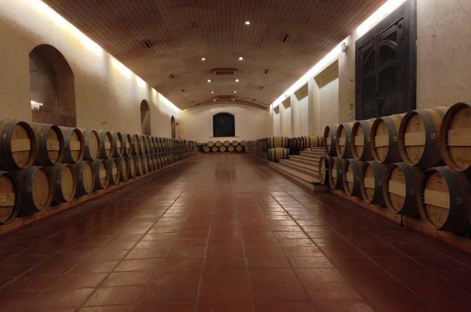 Concha Y Toro Winery - Living the Legend - Photo 4