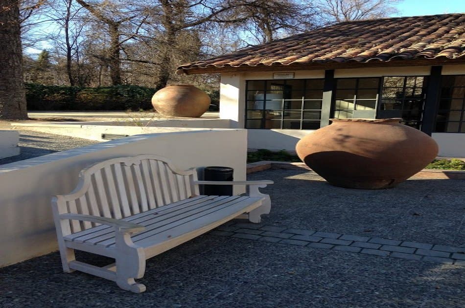 Concha Y Toro Winery - Living the Legend - Photo 6