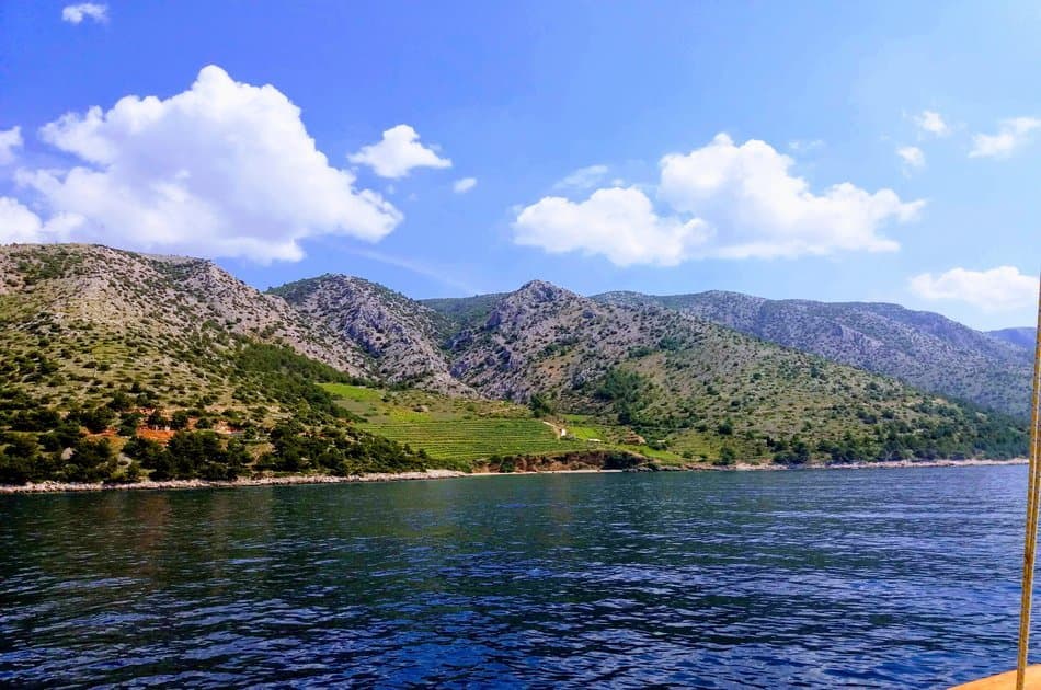All inclusive Day Trip to Island Brač - Golden Horn Beach - Photo 11