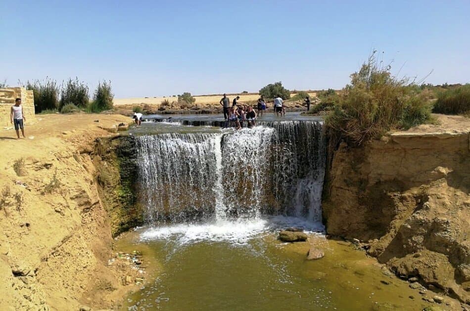 Day Tour from Cairo to Fayoum Oasis - Photo 14