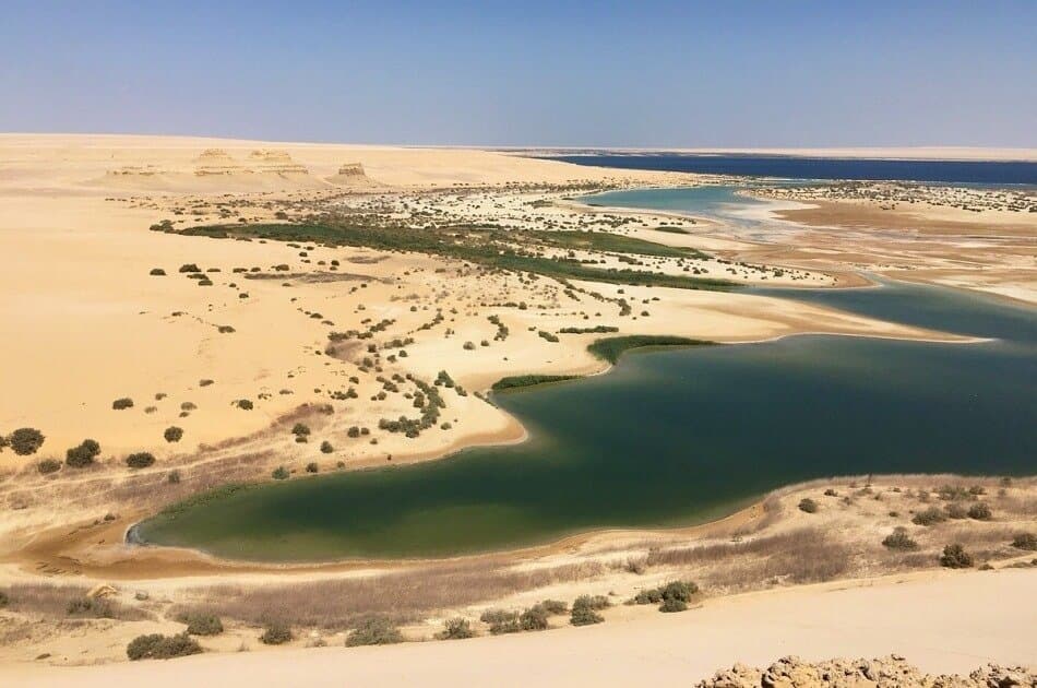 Day Tour from Cairo to Fayoum Oasis - Photo 16