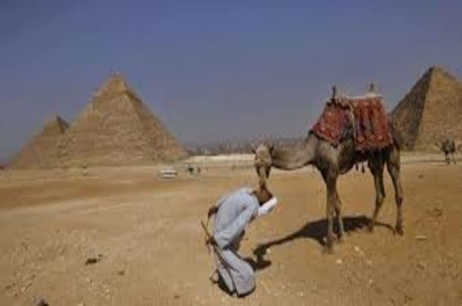 Half Day Pyramids Guided tour - Photo 2