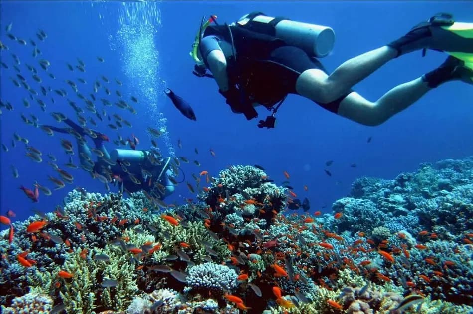 Hurghada Semi-Submarine Trip - Photo 7