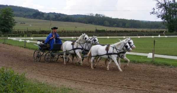 Private Magic Hungary Tour