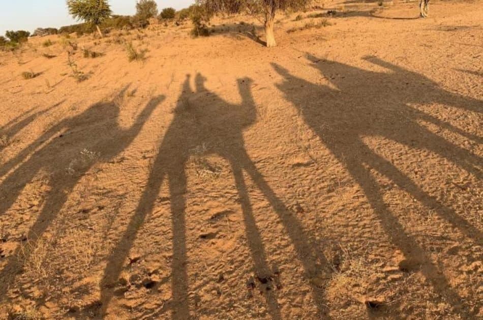 Jaisalmer City Tour & Camel Safari Private Tour - Photo 9