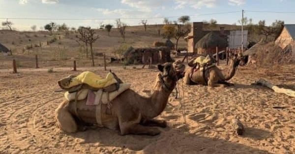 Overnight Stay in Desert (Jodhpur)