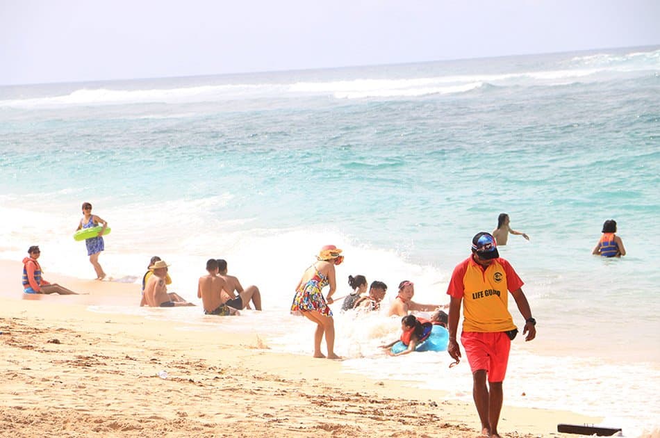 Iconic Southern Beaches Day Tours - Photo 33