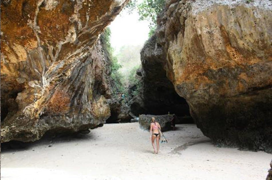 Iconic Southern Beaches Day Tours - Photo 44