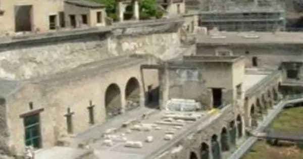 Tour to Pompei and Mt. Vesuvio and wine teasting