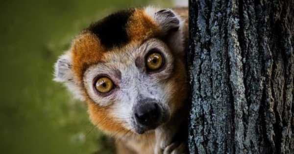 3 Day Nosy Be Island Cruise