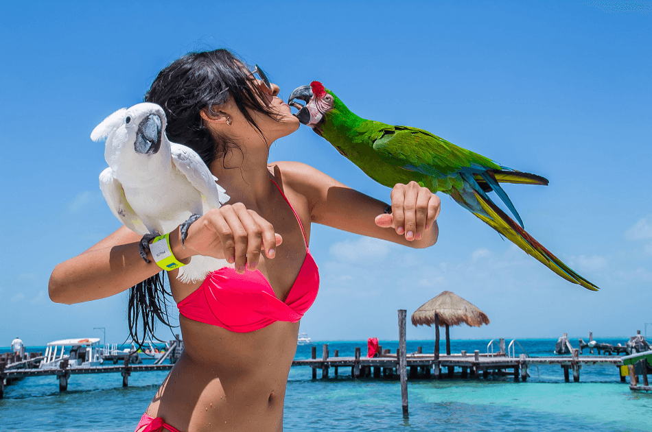 Fun Day Cruise to Isla Mujeres - Photo 7