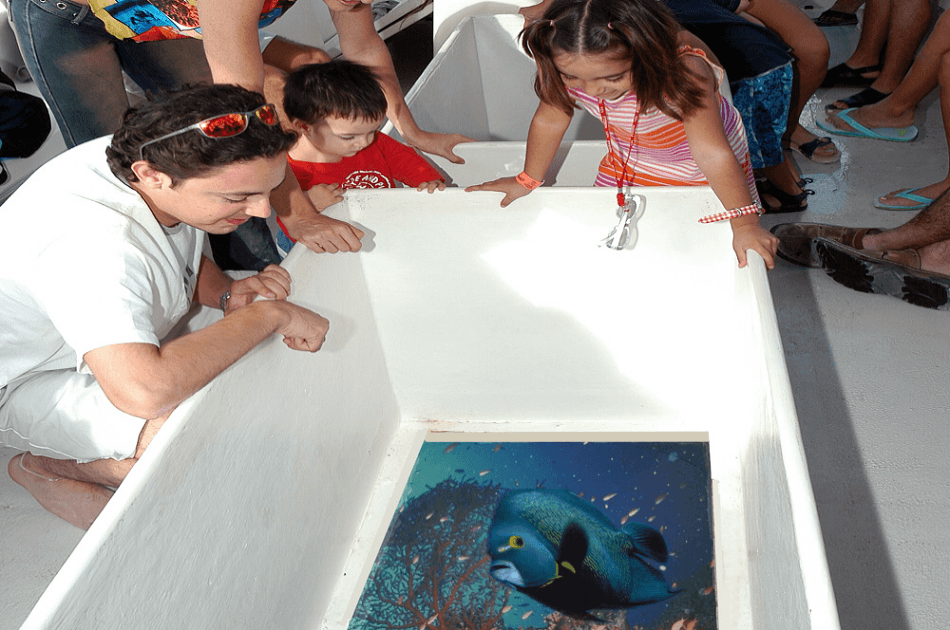 Fun Day Cruise to Isla Mujeres - Photo 12