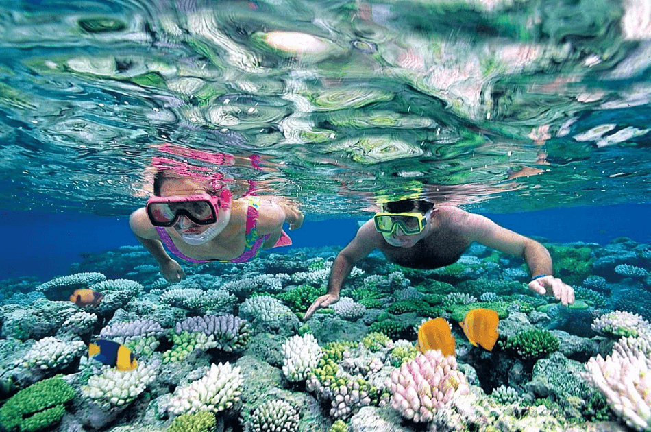 Fun Day Cruise to Isla Mujeres - Photo 4