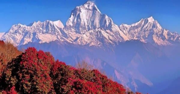 7 Day Poon Hill Sunrise Trek