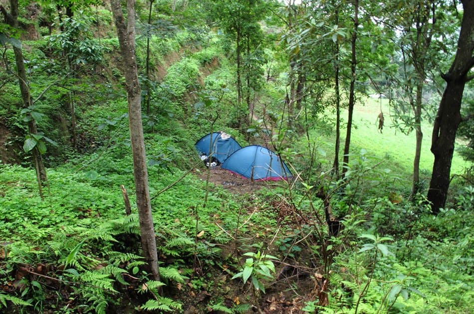 Champa Devi Private Hiking Tour - Photo 3