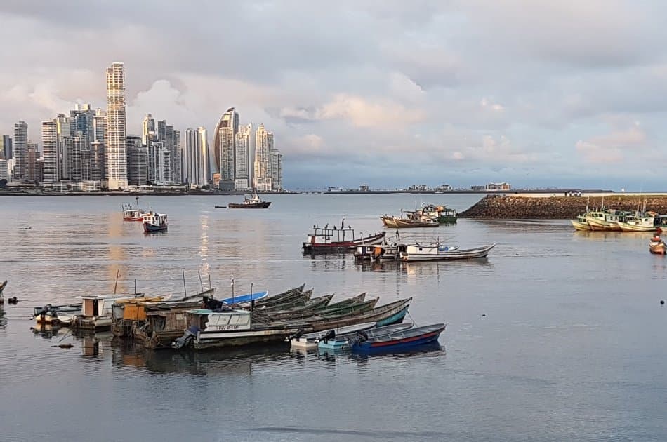 Panama City Tour - Photo 6