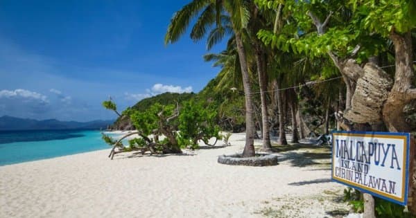 Malcapuya Island Getaway With Buffet Lunch