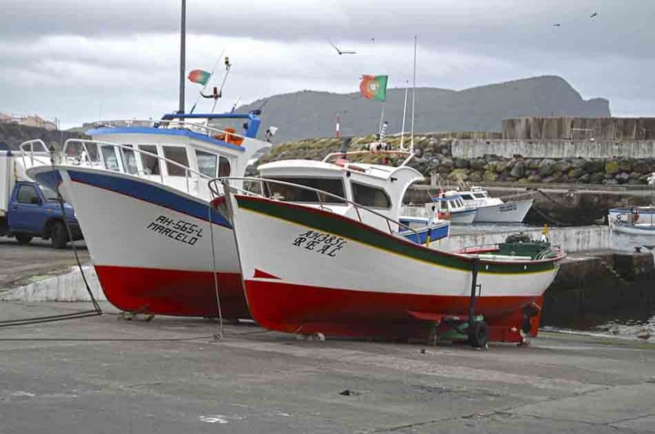 Terceira Island - West coast Group Tour - Photo 6