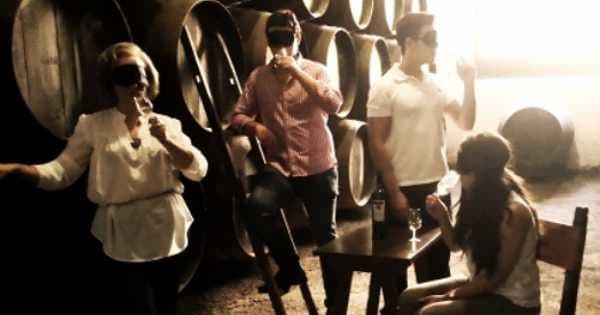 Sensory Wine Tasting in Jerez