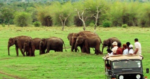 Sri Lanka 8-Day City Tour  (7 Nights)