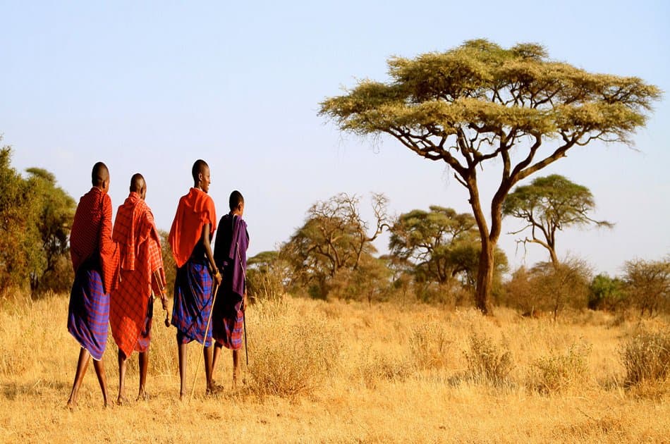 12 Days Budget Caming Tanzania Safari - Photo 2