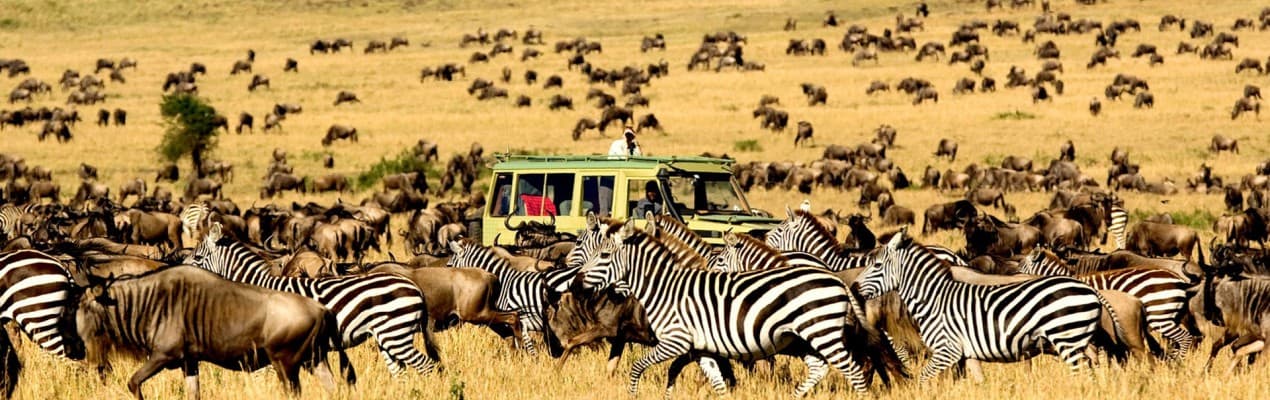 Serengeti