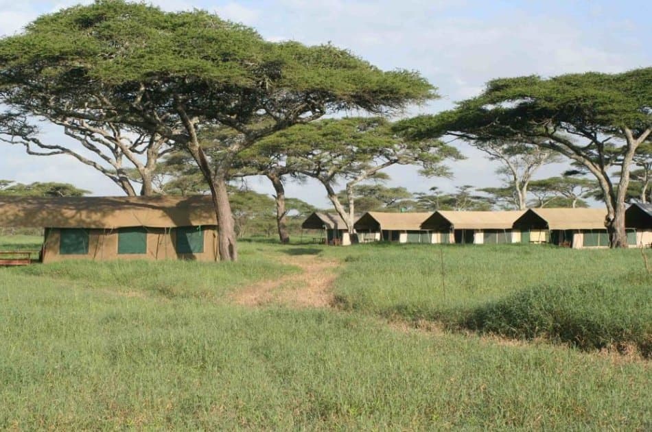 Serengeti Great Migration 10 Day Safari - Photo 11