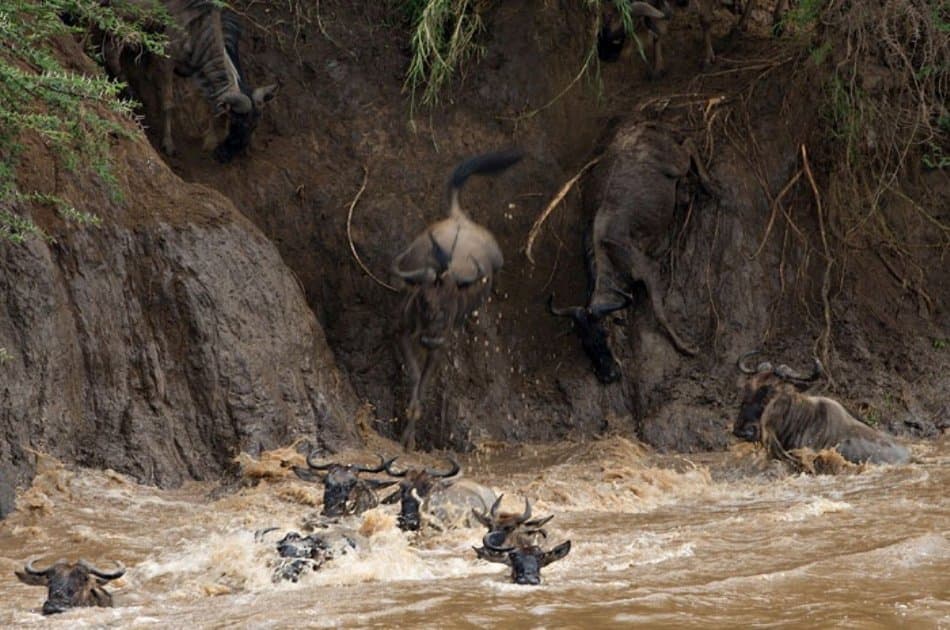 Tanzania Classic Safari Adventure - Photo 2