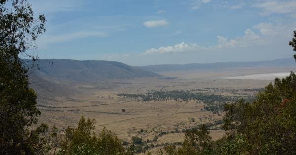 Tanzania Wilderness Experience - Photo 1