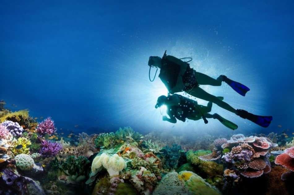 Marmaris Scuba Diving - Photo 2