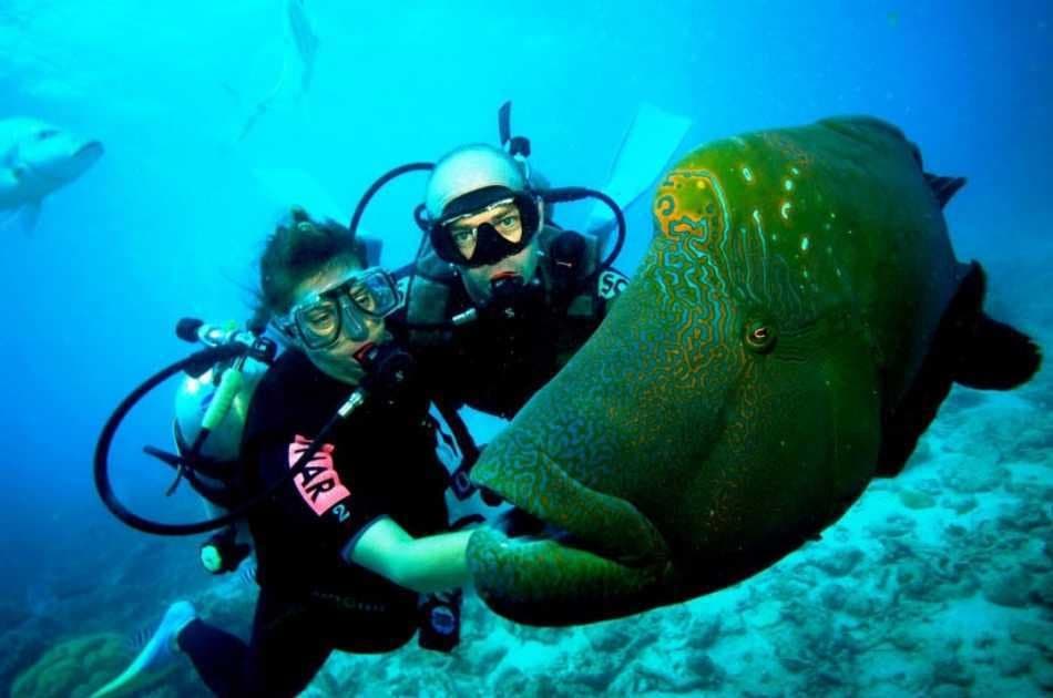 Marmaris Scuba Diving - Photo 3