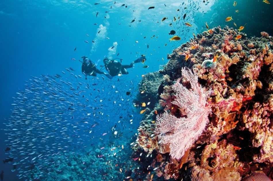 Marmaris Scuba Diving - Photo 4