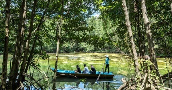 Can Gio Mangrove Forest Private Tour from Ho Chi Minh City