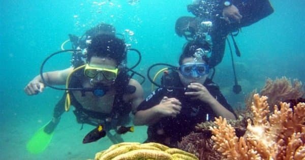 Speedboat and Snorkeling Small Group Tour