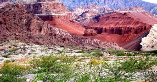 Find Your Way Through Los Cardones National Park - Photo 1
