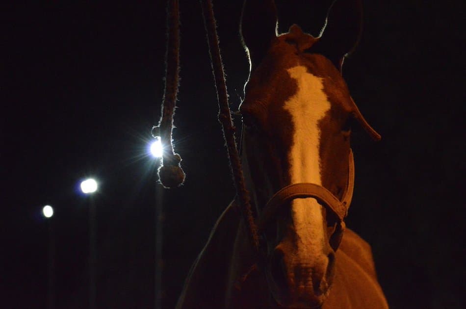 Polo Under The Stars in Buenos Aires! - Photo 3