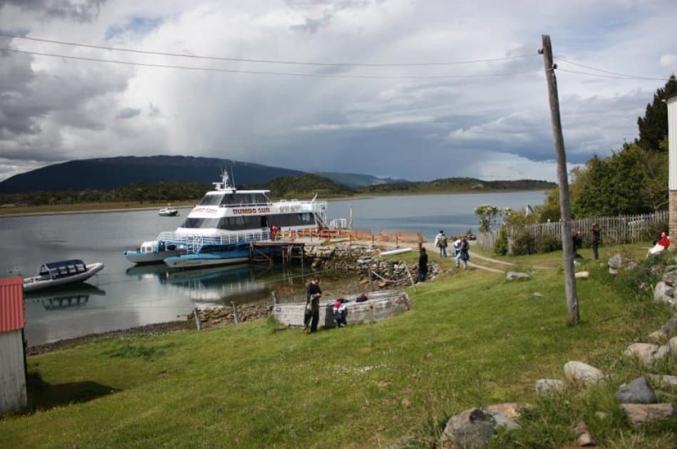 Sail to Penguin Island and Historic Estancia Harberton - Photo 3
