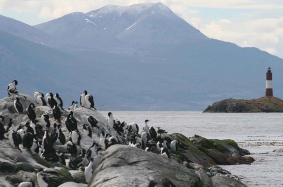 Sail to Penguin Island and Historic Estancia Harberton - Photo 6