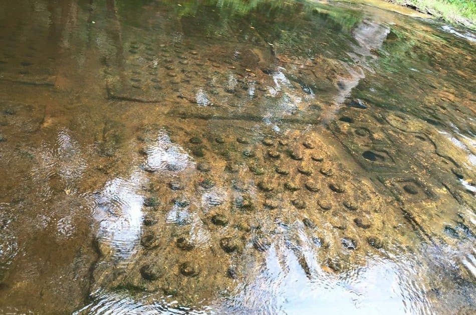 3-Day Angkor Adventure with Phnom Kulen Waterfalls, Floating Village - Photo 9
