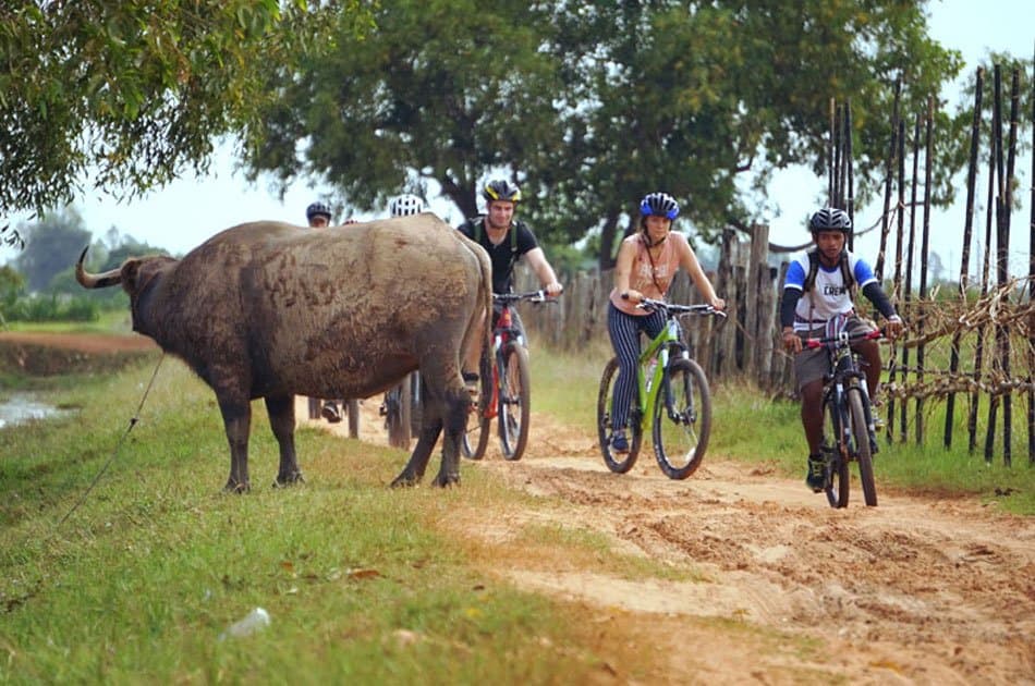 Bicycle Tour: Discover Cambodia Countryside - Photo 4
