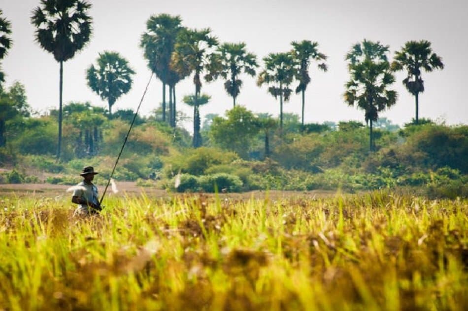 Half Day in Siem Reap With Quadbike - Photo 3