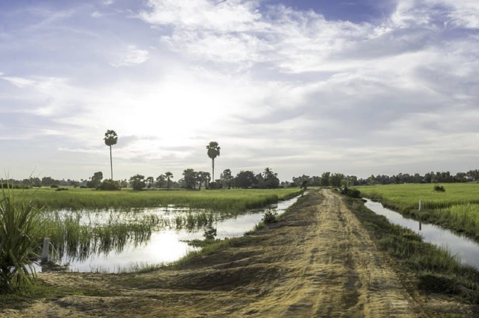 Half Day in Siem Reap With Quadbike - Photo 4