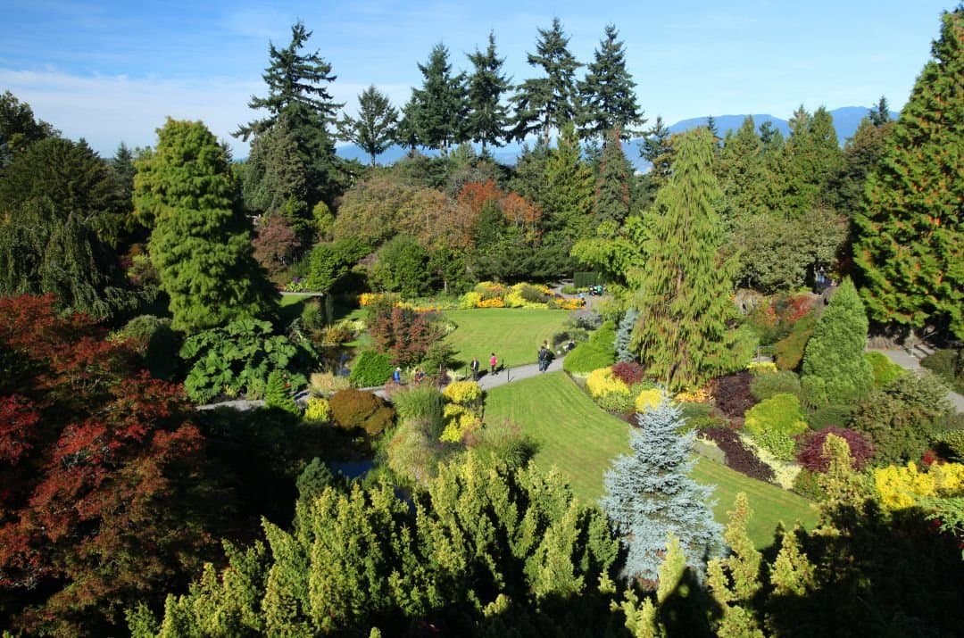 Queen Elizabeth Park