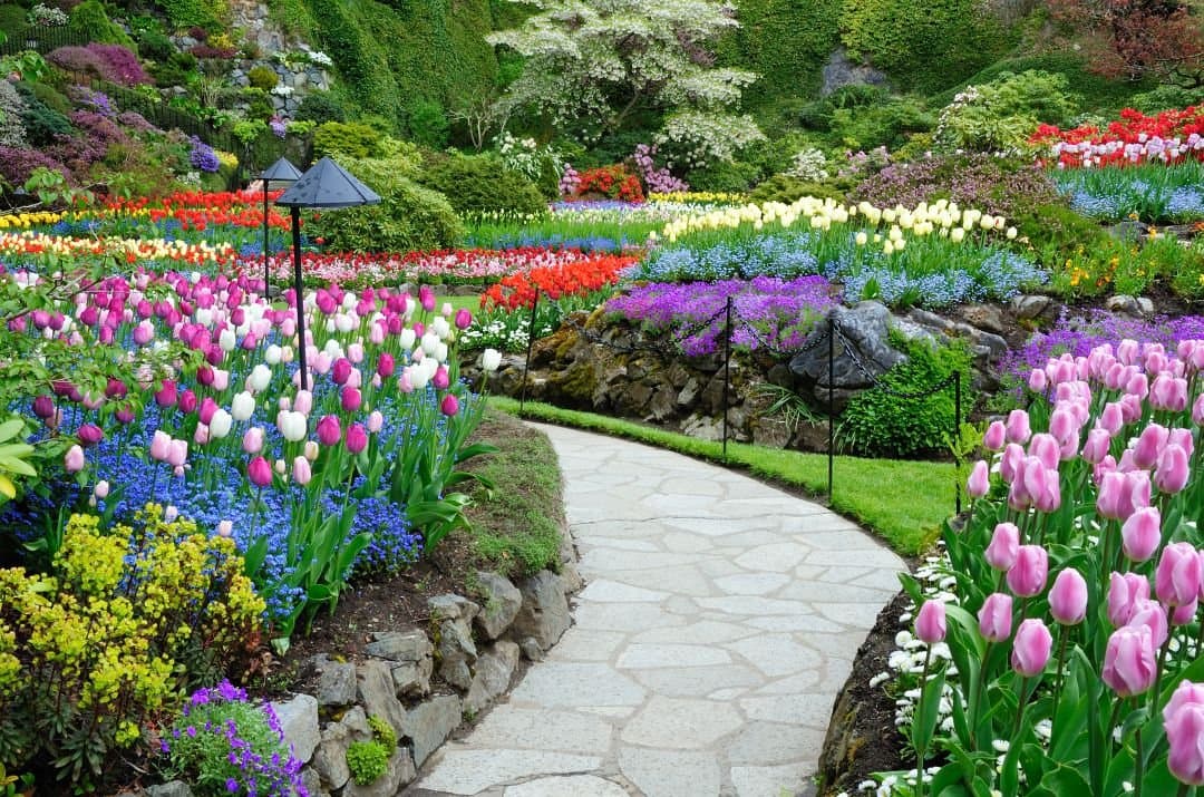 Butchart Gardens