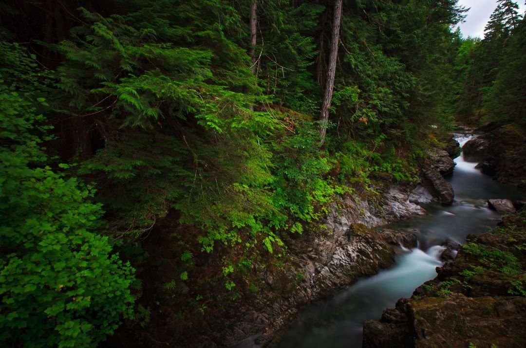 Englishman River Falls Provincial Park