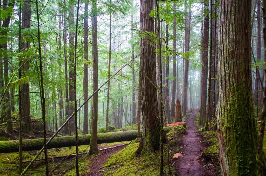 Horne Lake Caves Provincial Park
